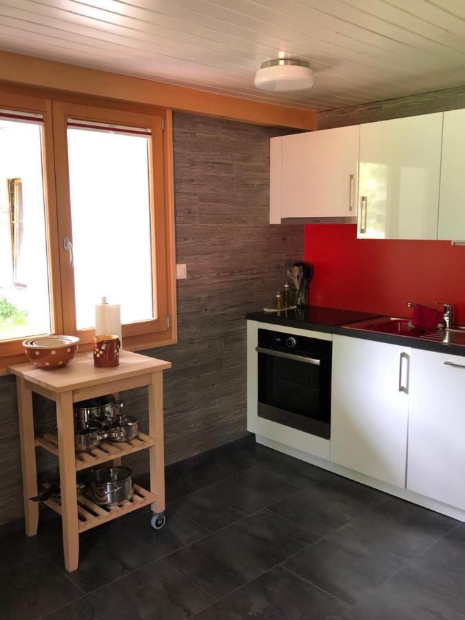 Chalet Le Knou 尚佩里 外观 照片